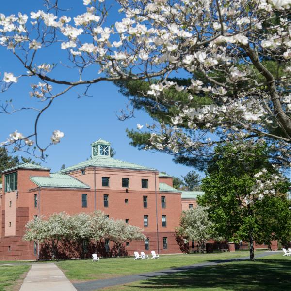 MSW Admission Policy Westfield State University